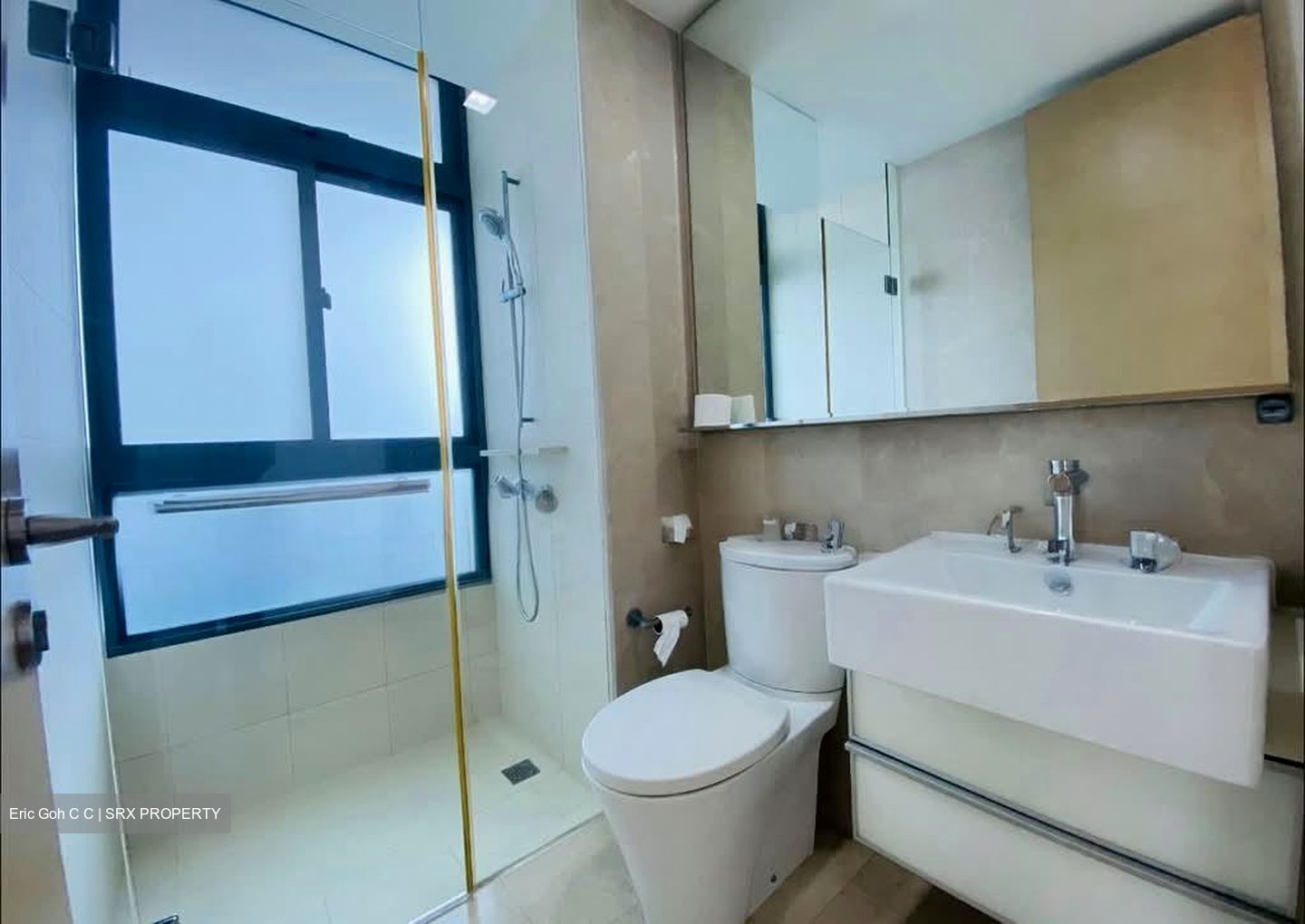 RiverGate (D9), Apartment #558657721